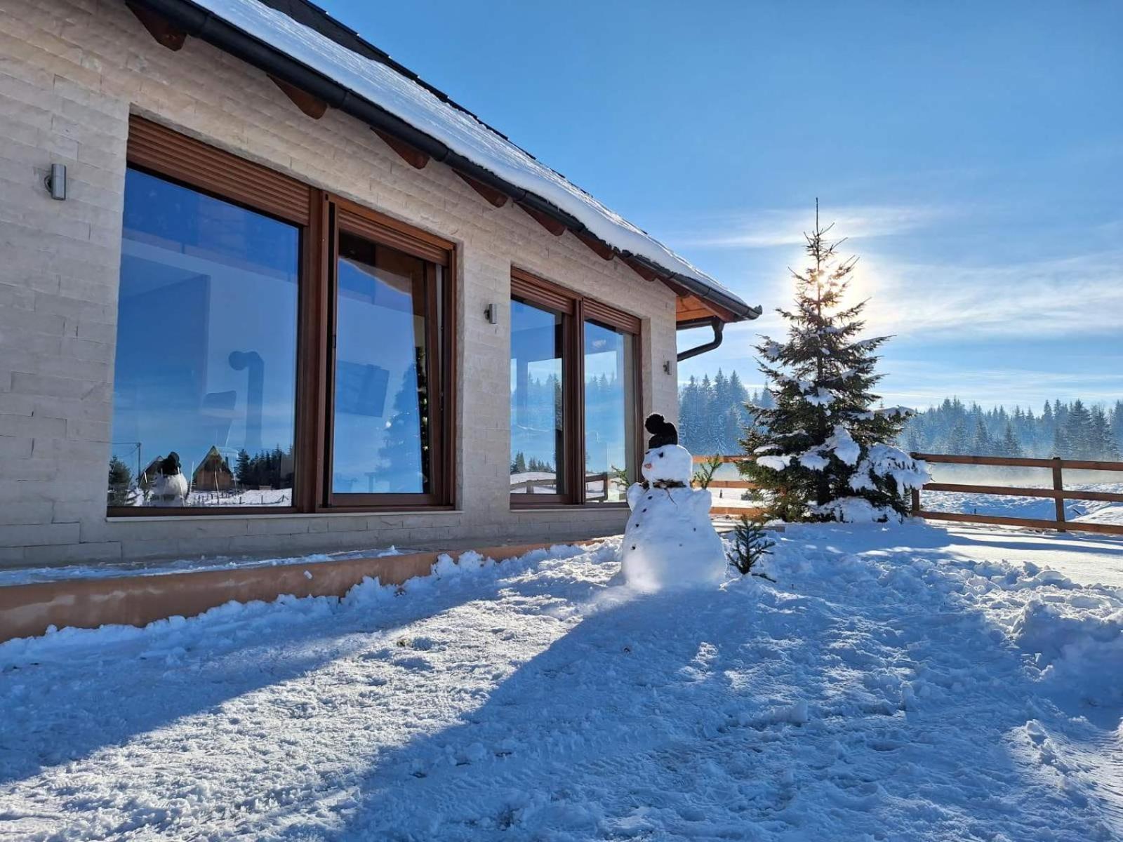 Vikendica Krlic Villa Mitrovac Dış mekan fotoğraf