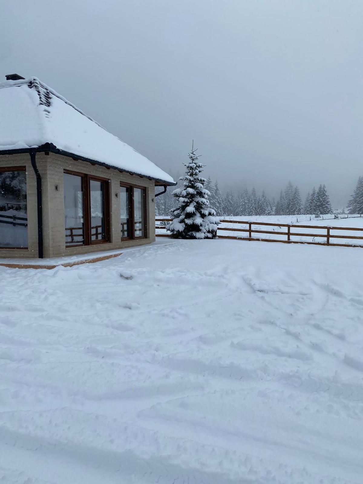 Vikendica Krlic Villa Mitrovac Dış mekan fotoğraf